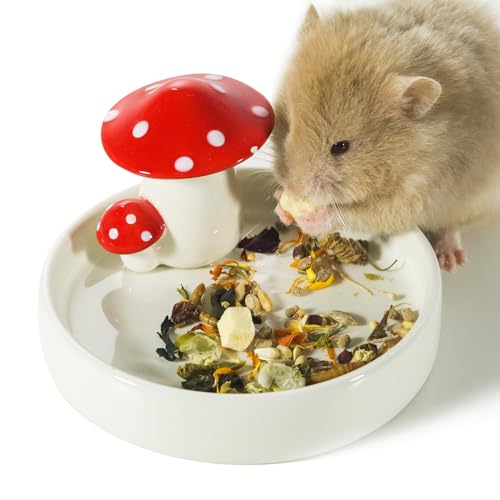 Niteangel Hamster Feeding & Food Bowls: Mushroom Ceramics & Chew-Resistant | Easy to clean & Stable Food Dish Feeding Bowls for Dwarf Syrian Hamsters Gerbils Mice Rats or Other Similar-Sized Small Pets - size: Feeding Bowl