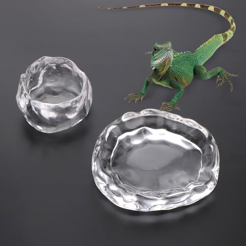 2 Pack Reptile Food Dish and Drinking Bowl Small Food Dish Terrarium Feeder for Small Reptile Lizard Gecko Spider Cricket Baby Bearded Dragon Hermit Crab Snail Turtle