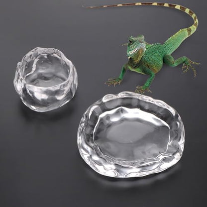 2 Pack Reptile Food Dish and Drinking Bowl Small Food Dish Terrarium Feeder for Small Reptile Lizard Gecko Spider Cricket Baby Bearded Dragon Hermit Crab Snail Turtle