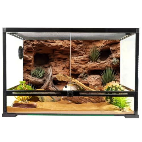 Rock Driftwood Plant Reptile Habitat Background 30x12 In Terrarium Backdrop | AWERT terrarium backdrop with rock walls, driftwood, desert succulents & sand substrate, polyester reptile habitat decor - size: 30x12in/75x30cm