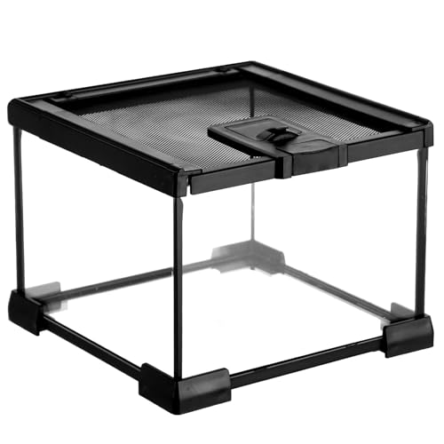 Mini Reptile Glass Terrarium 7.9 x 7.9 x 5.7, Full View Rainforest Vivarium Tank, Stackable Amphibian Enclosure Cage for Turtles, Geckos, Frogs, Hermit Crabs, No Installation Needed - size: 7.9"L x 7.9"W x 5.7"H