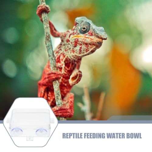 Plastic Reptile Feeding Bowl with Suction Cup for Escape Prevention, Sturdy Lizard and Snake Feeder, Versatile Use in Terrariums and Gecko Habitats