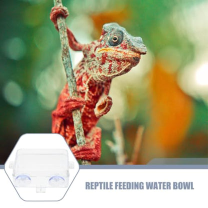 Plastic Reptile Feeding Bowl with Suction Cup for Escape Prevention, Sturdy Lizard and Snake Feeder, Versatile Use in Terrariums and Gecko Habitats
