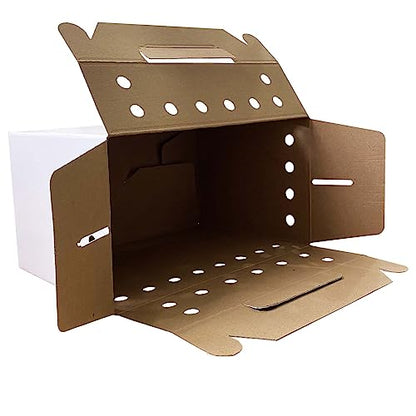 Cardboard Pet Carriers for Small Animals, Hamsters, Gerbils, Birds, Reptiles, Not for Cats or Dogs, Disposable Cardboard Pet Carrier 12 Pack