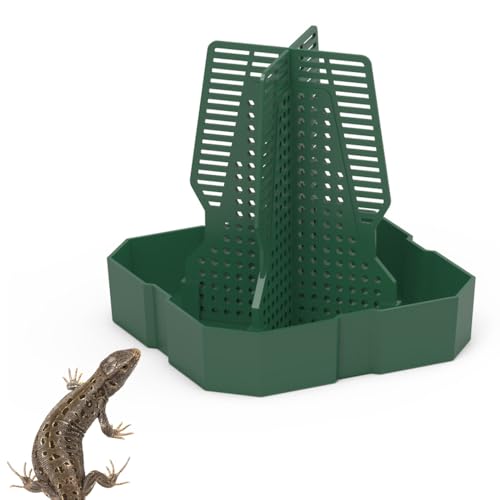 Bearded Dragon Feeder, Anti Escape Reptile Food Box with Ladder for Prey to Climb, Corner Gecko Feeding Bowl for Guardian Lizard Gecko Frog - color: Green, size: Small