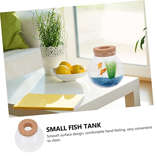 Abaodam Glass Terrarium for Plants Home Decoration Bottle Lid for Landscape Office Decor and Fish Keeping Container - size: 12X10X10CM