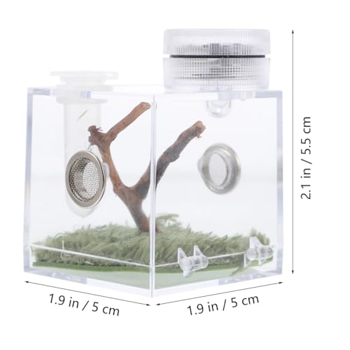 ibasenice Jumping Spider Cage with Lamp Transparent Small Spider Habitat Box 2.16X1.96X1.96 Inch Compact Jumping Enclosure for Feeding and Observation - color: Transparent