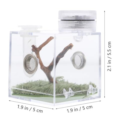 ibasenice Jumping Spider Cage with Lamp Transparent Small Spider Habitat Box 2.16X1.96X1.96 Inch Compact Jumping Enclosure for Feeding and Observation - color: Transparent