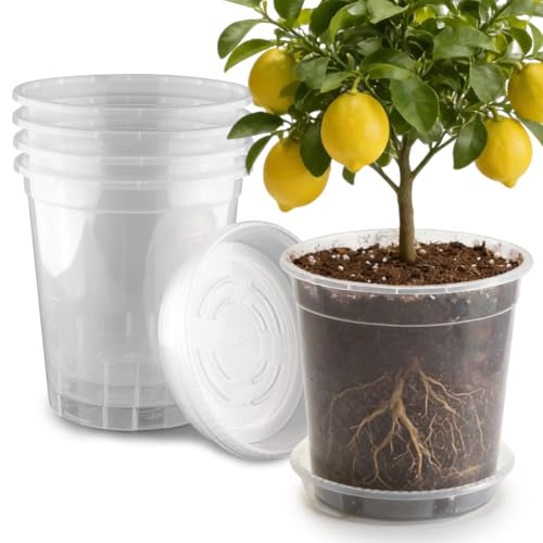 BTPLASTIK 5 Gallon Clear Nursery Pots with Saucers 5P, 12 Inch Round Plastic Plant Pots with Drainage Holes - size: 5 Gallon + Saucers 5P
