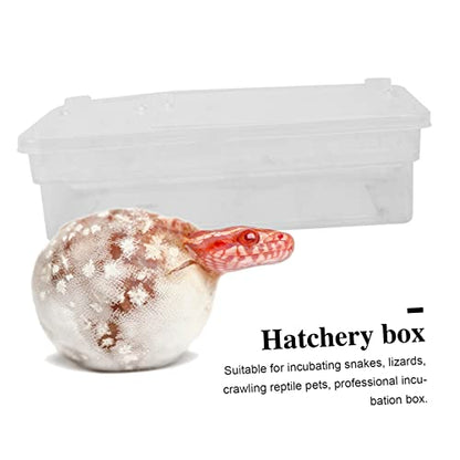VOSAREA Hatching Incubation Box for Reptiles Plastic Egg Incubator Tray for Lizards Snakes Turtles Practical Breeding Hatchery Ventilation and Suction Cups