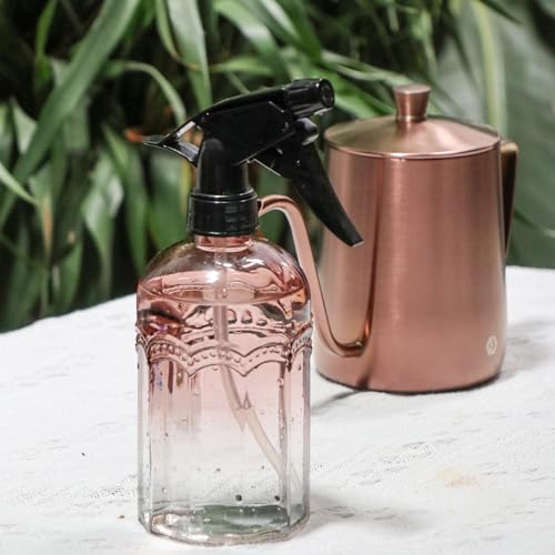 Watering Can for Indoor Plants Long Spout Metal Stainless Steel 21 oz Small Watering Can with 14 oz Glass Plant Mister Spray Bottle for Plants Bonsai - color: Rose Gold Watering Can+tawny Clear Spray Bottle