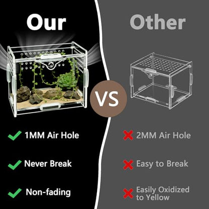 Mini Acrylic Spider Enclosure, Clear Habitat with 1mm Ventilation | Compact clear acrylic enclosure with 1 mm ventilation holes for jumping spiders and other small invertebrates. - size: Small Square Acrylic Terrarium