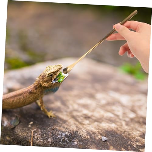 YARNOW 2pcs Sturdy Reptile Food Spoon Small Pet Feeding Tool for Lizard and Turtle Stainless Steel Easy to Use