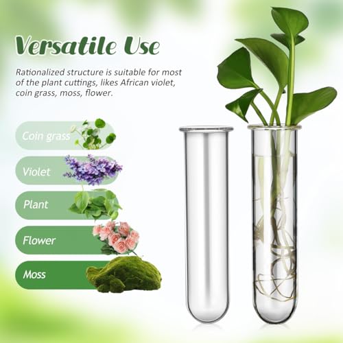 5PCS Glass Tubes for Plants, Propagation Tubes for Plants | Glass Test Pipe Vase for Scientific Experiments, Desktop Party Home Office Decor, Flowers Desktop, Indoor Hydroponic Station