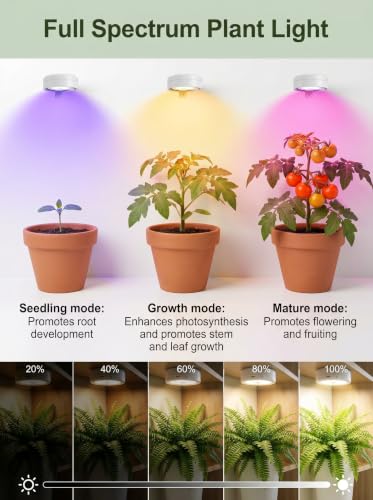 1 Pack Rechargeable Grow Light, Cordless Full Spectrum LED for Indoor Plants, Magnetic Mount, Timer & Remote, USB-C 2000mAh for Shelf, Herbs, Succulents, Seedlings & Greenhouse (Black)
