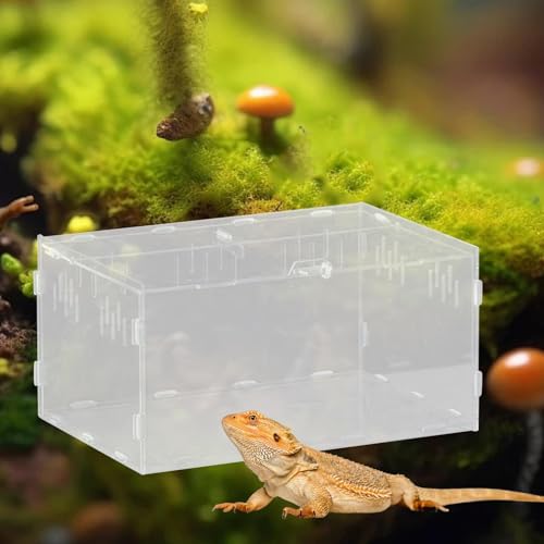 Reptile Breeding Box Acrylic Terrarium Container with Ventilation Holes for Snakes Turtles Chameleons Frogs Geckos Small Animal Habitat- 30x20x15cm