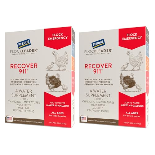 Recover 911, Severe Stress Probiotic Water Supplement for Chickens with Electrolytes, Prebiotics & Oregano, Molting, Extreme Weather, and Predator Attack Support, 8 oz (Pack of 2) - size: 8 Ounce (Pack of 2), style: Recover 911