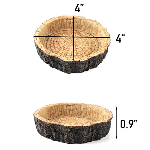 CalPalmy 2 Pack Reptile Water and Food Bowls, Novelty Food Bowl for Lizards, Young Bearded Dragons, Small Snakes and More - Made from BPA-Free Plastic
