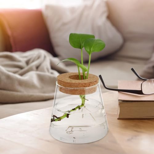 3pcs Glass Plant Propagation Station with Wood Lid, Desktop Hydroponic Vase for Flowers and Plants, Stylish Glass Terrarium for Office Desk or Corner, Ensures Clean Indoor