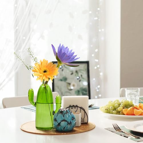 XXXFLOWER Cactus Plant Propagation Station 1 Cactus Vase Terrarium Jars | Desk Plant Cuttings Plant Holders Unique Glass Flower Vase for Hydroponics Plants for Plant Lovers Home Garden Decor - size: 1PC Cactus Vase