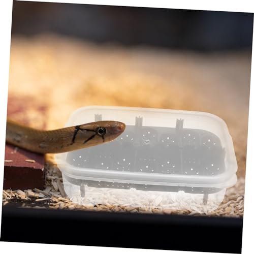 1pack Practical Reptile Egg Hatchery Box Lightweight Breeding for Geckos Lizards and Turtles Easy to Clean and Manage Incubator for Reptile Hatching Black - color: Black