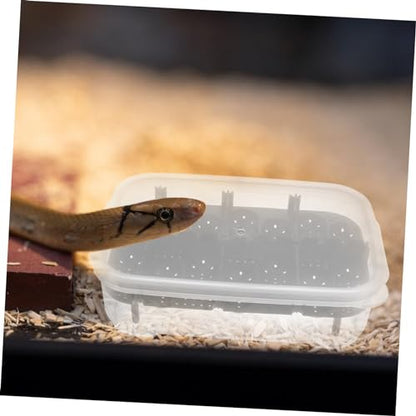 1pack Practical Reptile Egg Hatchery Box Lightweight Breeding for Geckos Lizards and Turtles Easy to Clean and Manage Incubator for Reptile Hatching Black - color: Black
