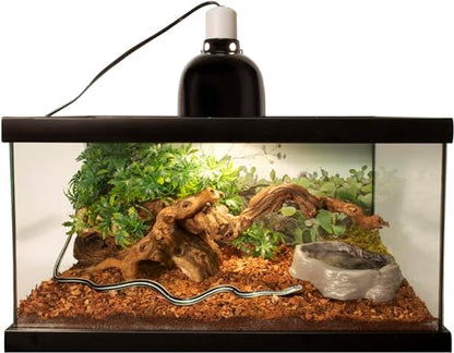 Zoo Med Reptile Bark Fir Bedding, 8 Quarts | Pack of 2 - size: 8 qt (Pack of 2)