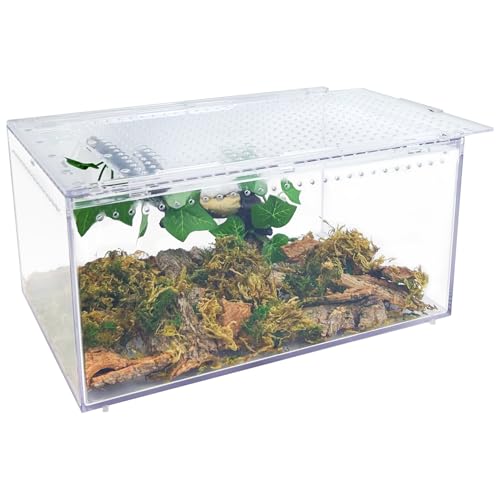 Reptile Terrarium Enclosure 12"x 8"x 6" Acrylic Tarantula Breeding Box Magnetic Hermit Crab Habitat Tank Transparent Jumping Spider Cage for Insect Snail Amphibians Sling Isopods - size: L: Standard Version