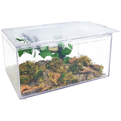 Reptile Terrarium Enclosure 12"x 8"x 6" Acrylic Tarantula Breeding Box Magnetic Hermit Crab Habitat Tank Transparent Jumping Spider Cage for Insect Snail Amphibians Sling Isopods - size: L: Standard Version