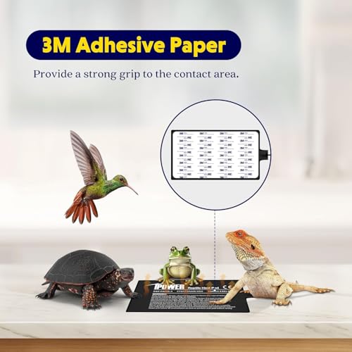 iPower 8 by 12-Inch 16 Watts Reptile Heating Mat with Temperature Controller Under Tank Warmer Terrarium Heat Pad for Reptiles and Amphibians, Black - size: 8 X 12 Inch, style: 1 Pack with Adjustable Knob