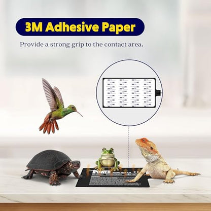 iPower 8 by 12-Inch 16 Watts Reptile Heating Mat with Temperature Controller Under Tank Warmer Terrarium Heat Pad for Reptiles and Amphibians, Black - size: 8 X 12 Inch, style: 1 Pack with Adjustable Knob