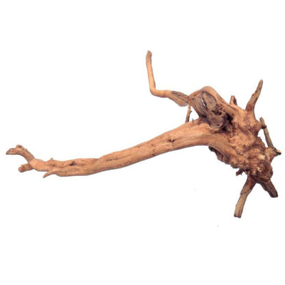 BESPORTBLE 1Pcs Natural Aquarium Driftwood : Spider Wood Branch - Reptile Tank Decor Accessories for Fish Bearded Dragon Turtle Terrarium 5.9In, Gift for Pet Lovers