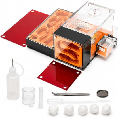 Terra Core Series Hybrid Formicarium Ant Nest, Vertical & Flat Chamber Design with Hydration System, Expandable Habitat & Starter Kit