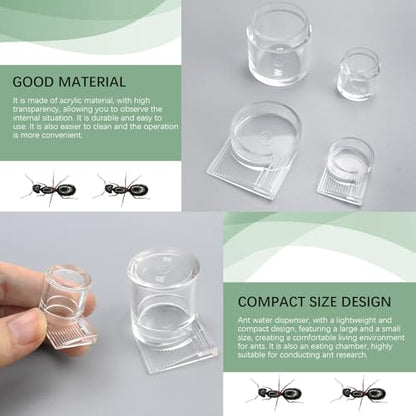 2pcs Mini Ant Water Feeder - Transparent Liquid Feeding Bowls for Ant Farms Small Reptiles Ideal Insect Drinking Tools