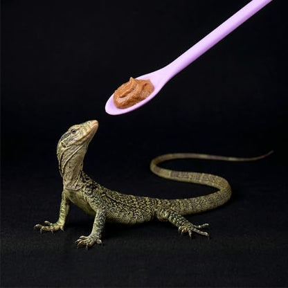 4 Pcs Reptile Feeding Tongs, Silicone Crested Gecko Food Spoon Set, Long Handle Reptile Spoon & Spatula for Lizard Gargoyle Bearded Dragon, Dual Size Purple Green Mixing Stirring Tool for Powder Fruit