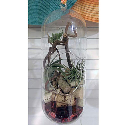 WGV Hanging Glass Plant Terrarium, Width 5", Height 12", Lantern DIY Air Succulent Planter Clear Tea Light Votive Candle Holder, Wedding Event Office Home Outdoor Decor, 1 Piece