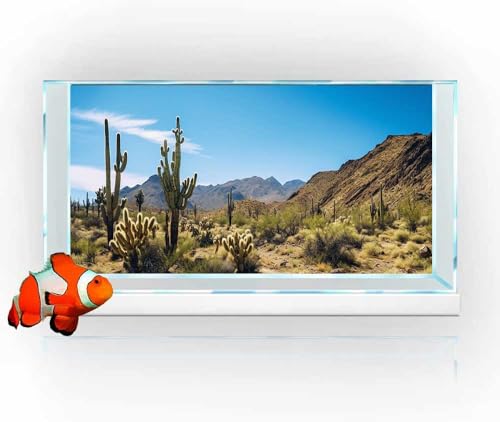 Reptile Habitat Background, Retro Desert Oasis Cactus Terrarium Background 24X16 in Background with 8 EVA Double-Sided Tape - color: desert01, size: 24X16in/60X40cm