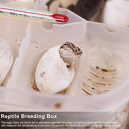 Reptile Breeding Box,16.5x11x5.2cm Reptile Hatchery Box Reptile Incubation Box with Transparent Cover and Temperature Measuring for Hatching Reptiles Lizards, Snakes