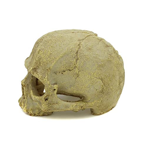 JIHAQUA Aquarium Resin Skull Ornament Snake Hide Decor, Habitat | Reptile Tank Accessories, Basking