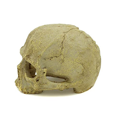 JIHAQUA Aquarium Resin Skull Ornament Snake Hide Decor, Habitat | Reptile Tank Accessories, Basking