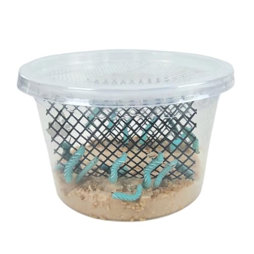 Josh's Frogs Hornworms Habitat Cup (12 Count Cup) - size: 12 Count (Pack of 1)