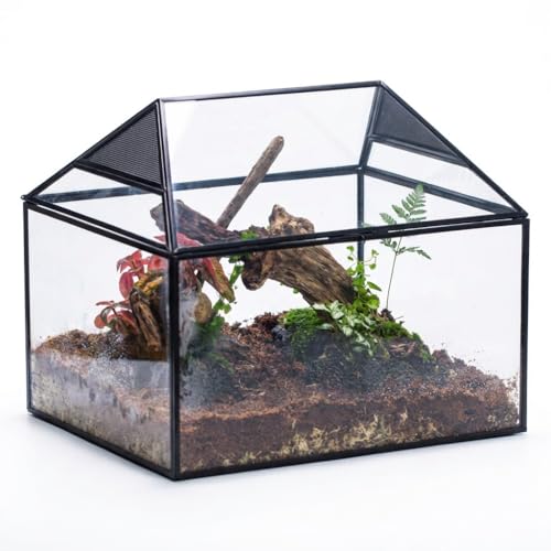 NCYP Large Geometric Glass Terrarium Box with Swing Lid for Tarantula, Snail - 14x12x12 Inches Glass Enclosure (Terrarium Only)
