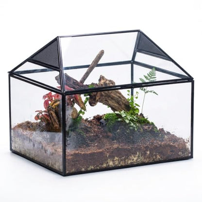NCYP Large Geometric Glass Terrarium Box with Swing Lid for Tarantula, Snail - 14x12x12 Inches Glass Enclosure (Terrarium Only)