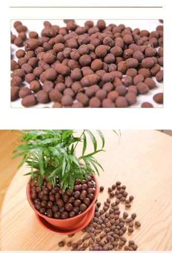 Premium Clay Pebbles Hydroponics Breathable Lightweight Ceramsite Pellets-4-10Mm-1 Lb - color: 1 lb, size: 4-10mm