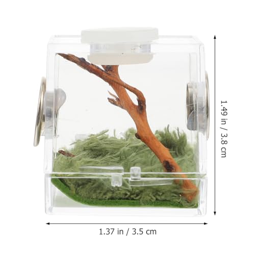 ibasenice Jumping Spider Cage 1.5In Clear Acrylic Escape-Proof Feeding Box with Built-in Lamp for Night Viewing – Mini Terrarium for Jumping Spiders & Small Arachnids - color: Multi