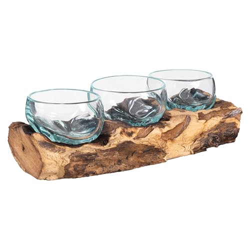 Cape Craftsmen Set of 3 Terrariums | Hand-Blown Blue Tinted Bubble Glasses On Natural Teak Driftwood Terrarium | Home Décor Indoor Planter with Stand | Glass Clear Pots for Succulent and Plants - size: Set of 3 (With Stand)