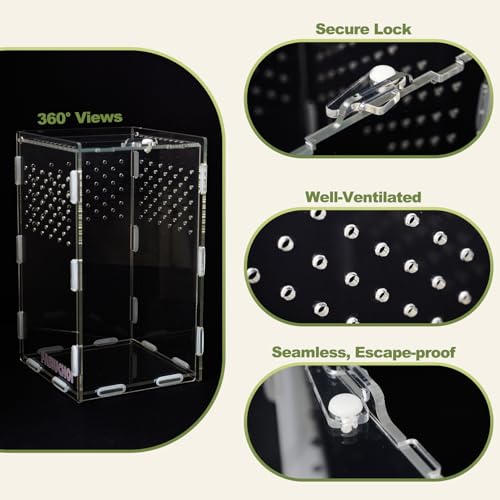 Small Acrylic Terrarium 4.7x4.7x7.8 inch, Transparent Reptile Enclosure Habitat with Ventilation, Mini Tank for Small Hermit Crab, Juvenile Gecko, Baby Lizard, Praying Mantis, Critters, Bugs & Insects
