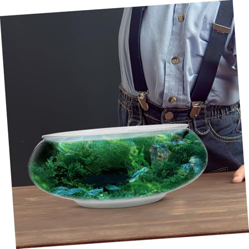 ibasenice 2Pcs Transparent Small Fish Tank Durable Aquarium for Goldfish Turtle and Small Reptiles Home Decor and Fish Breeding Box Capacity