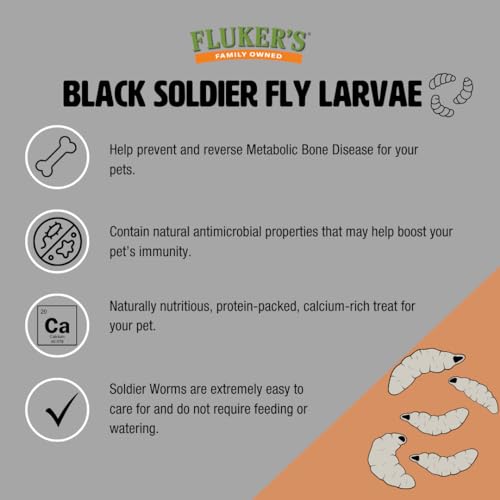 Fluker's Small Live Black Soldier Fly Larvae 100 Count - Reptile and Chicken Food - size: 100 Count (Pack of 1), style: Small, 1/4"