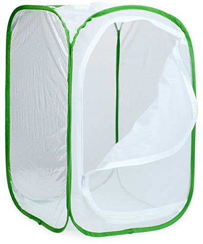 RESTCLOUD Insect and Butterfly Habitat Cage Terrarium Pop-up 24 Inches Tall with 10Pcs 10ML Floral Tubes